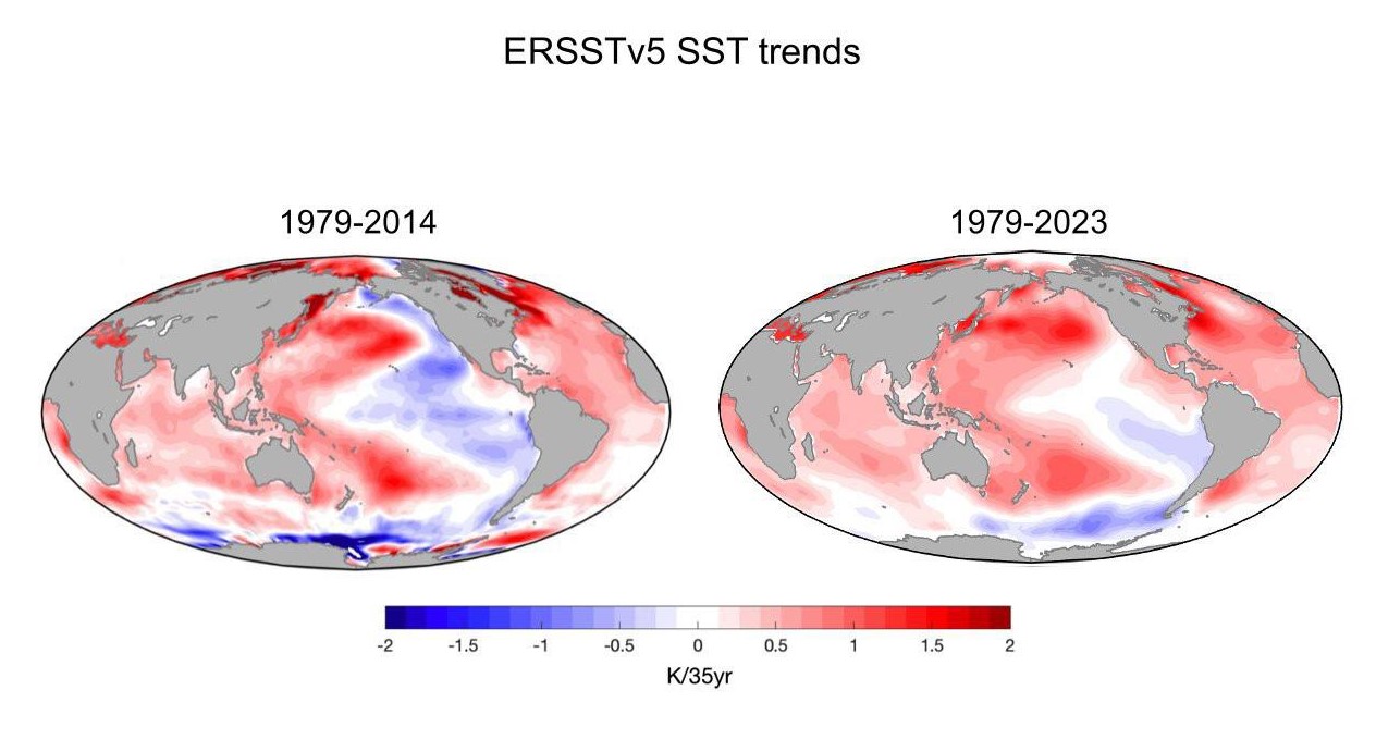 The mechanisms underlying the tropical Pacific surface warming | nextGEMS